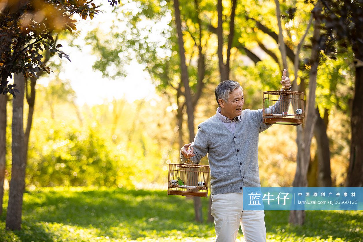 快乐的老年人在公园遛鸟-蓝牛仔影像-中国原创广告影像素材