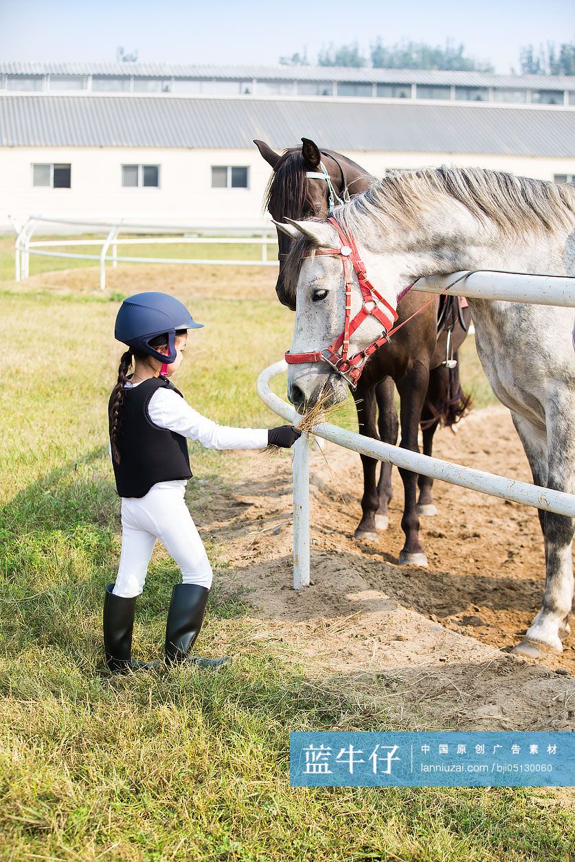 小女孩喂马吃草