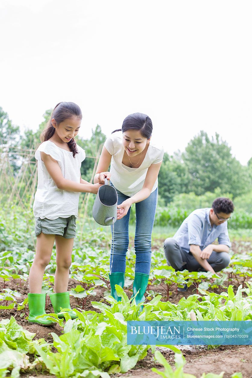 Young Chinese family gardening together