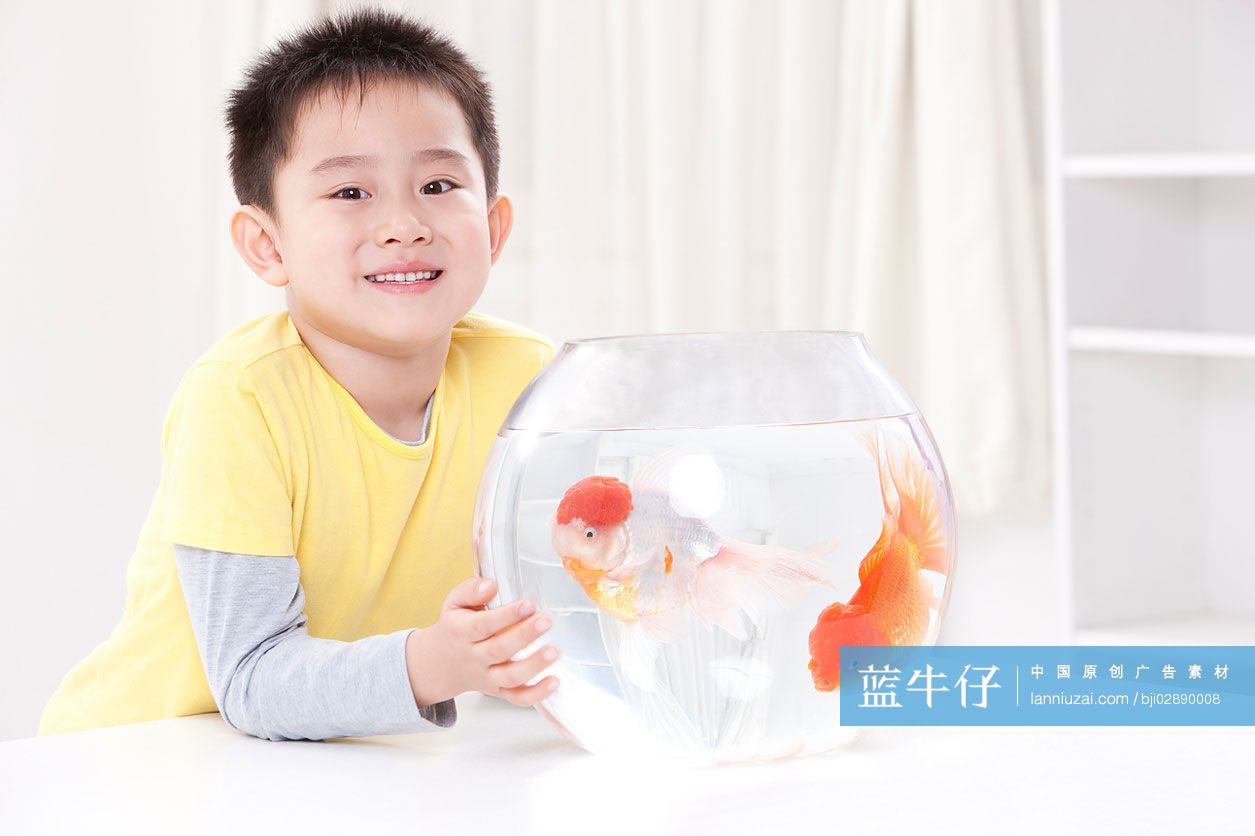 小男孩和金鱼