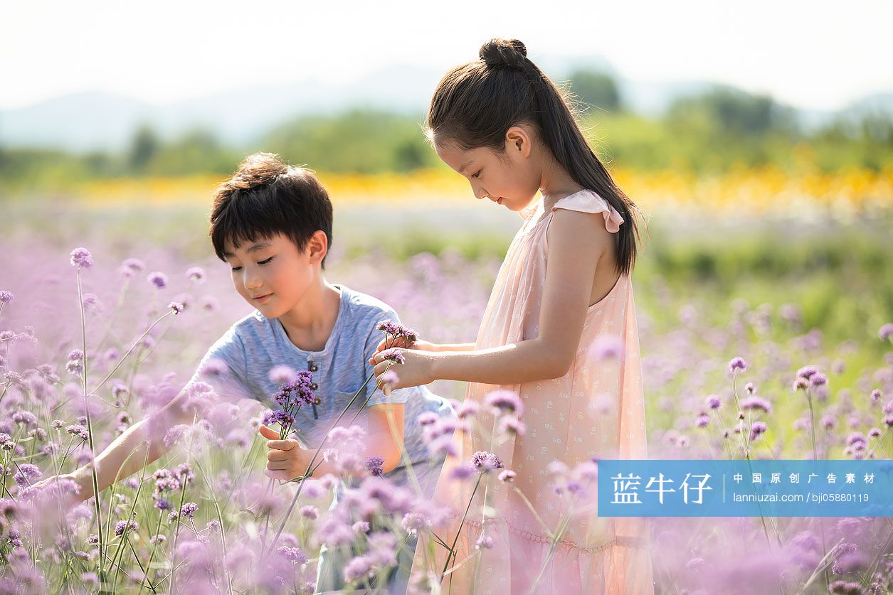 姐弟俩在花田里采花