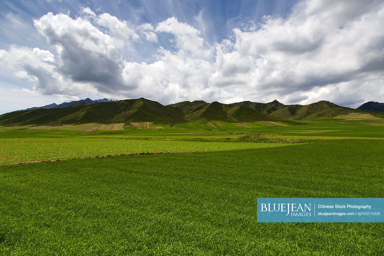 Mountain and field in Gansu province, China