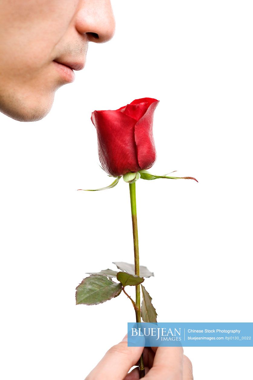 The scent of a rose