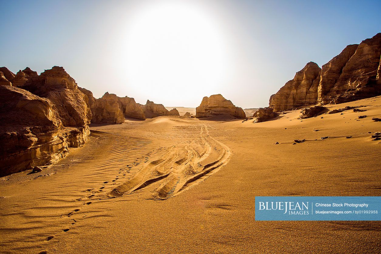 Dry desert