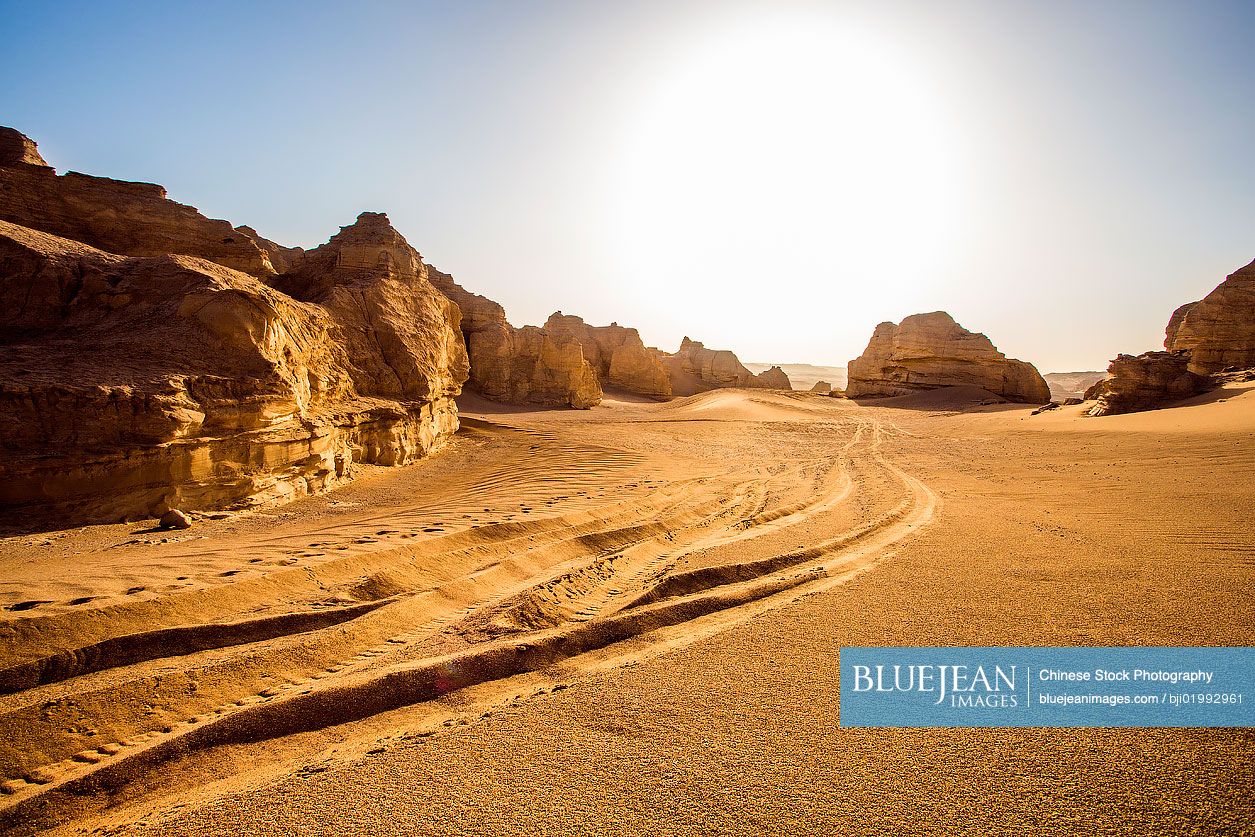 Dry desert