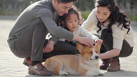 Happy young Chinese family and pet dog in park,4K