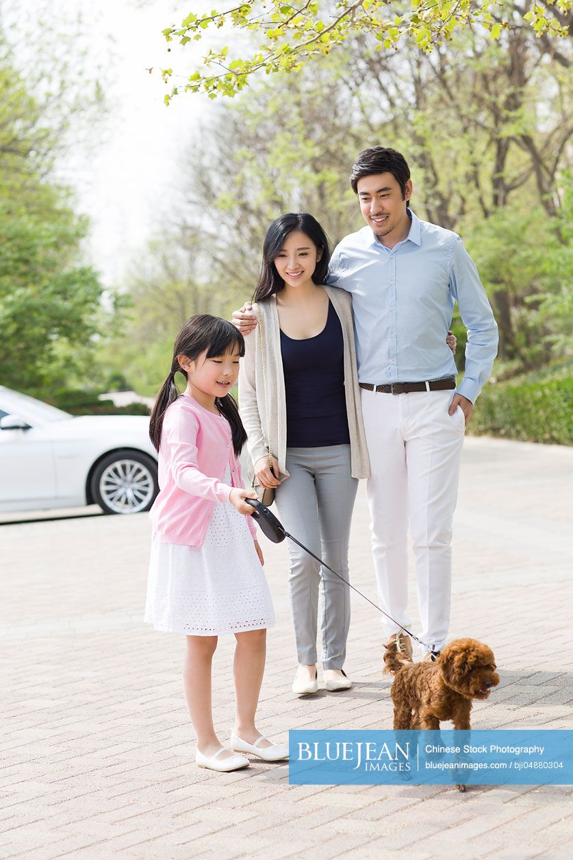 Young Chinese family walking with their pet dog