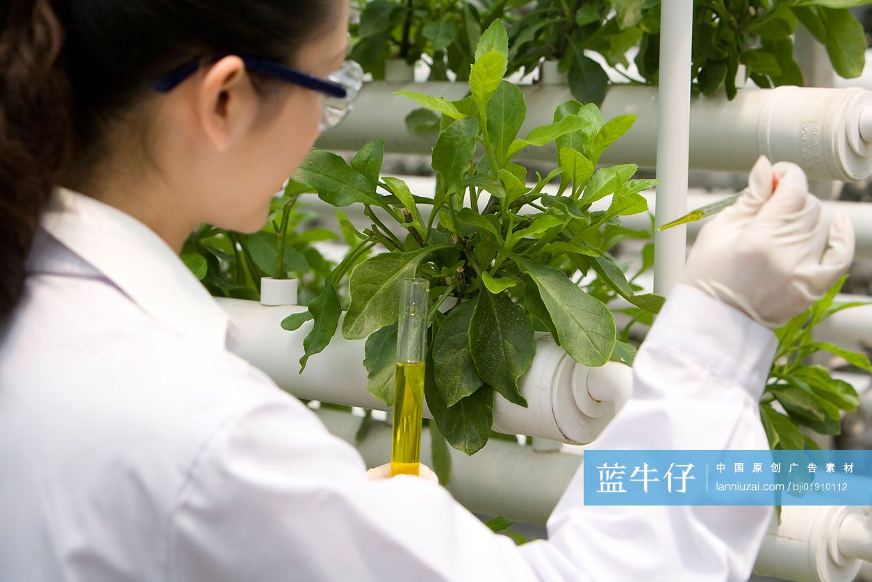 农艺师在现代农庄做科学研究