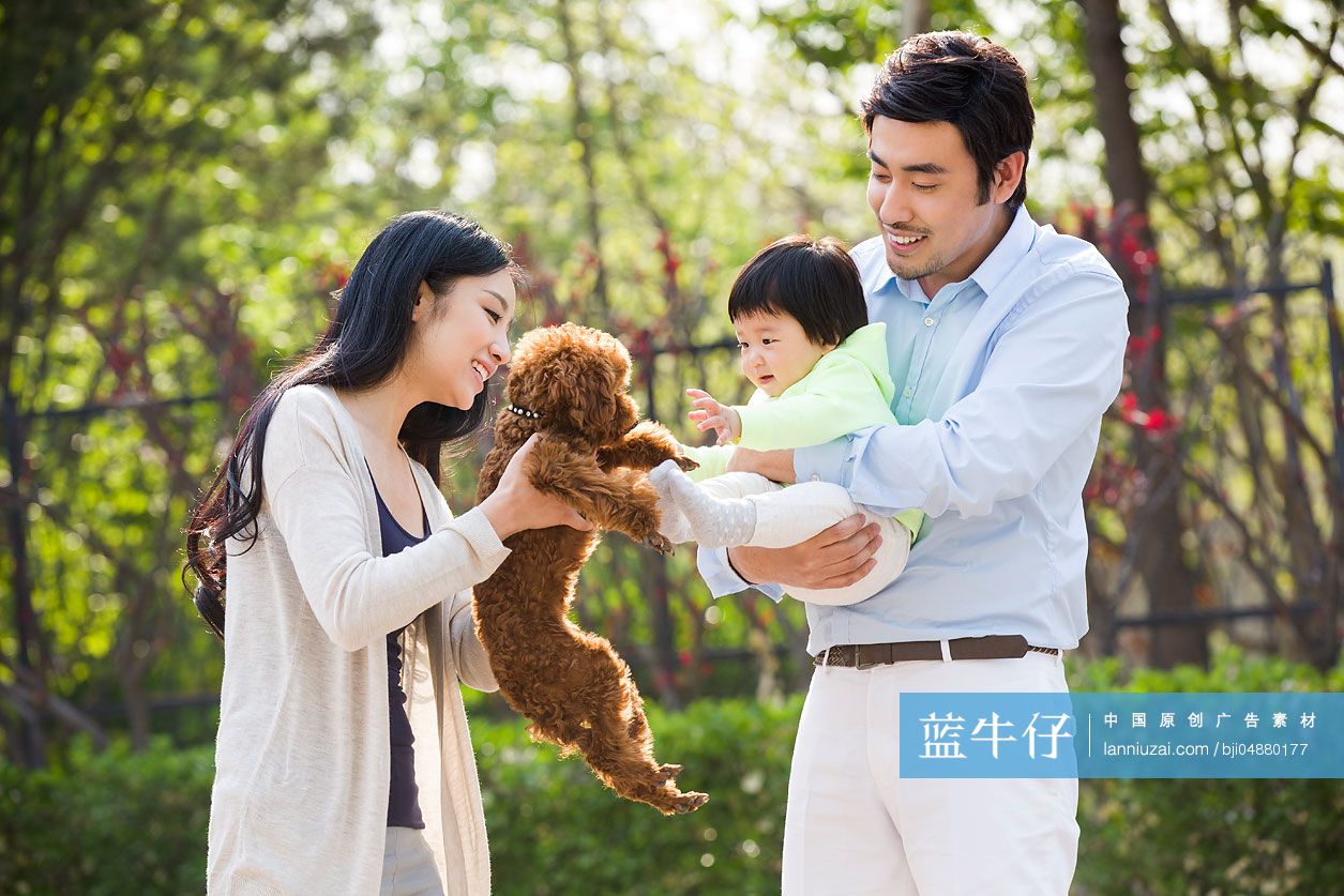 年轻的三口之家和宠物狗玩耍