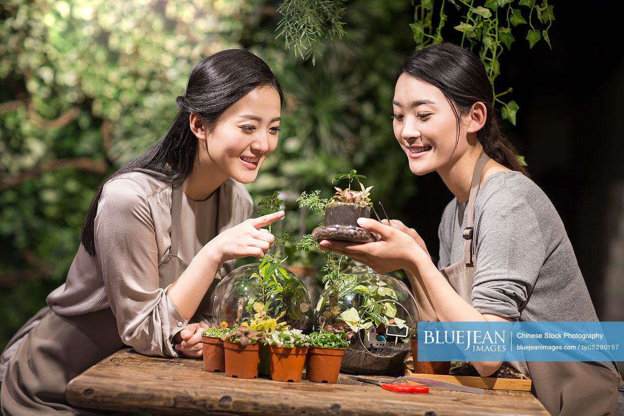 Young Chinese women working in plant shop