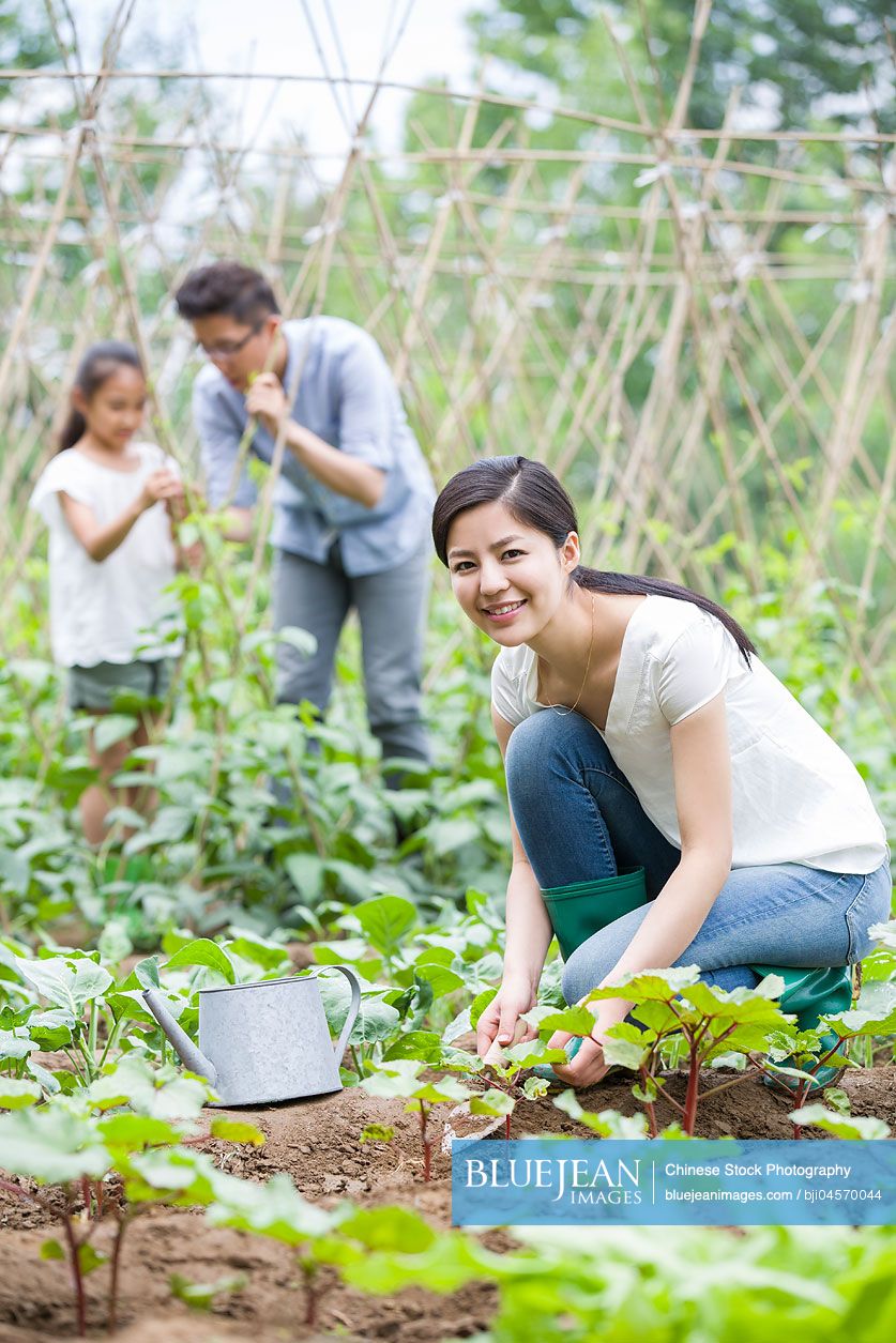 Young Chinese family gardening together