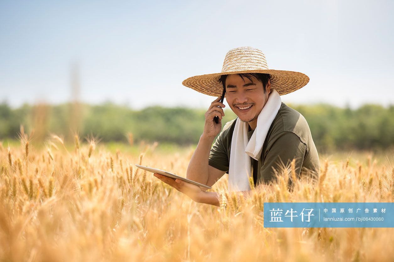 农民在麦田里使用手机打电话