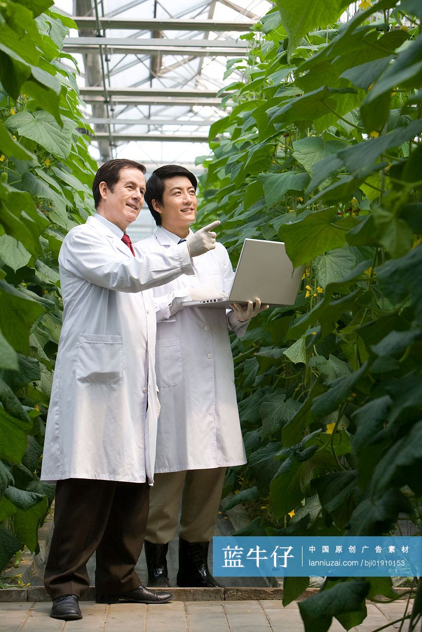 农艺师在现代农庄做科学研究