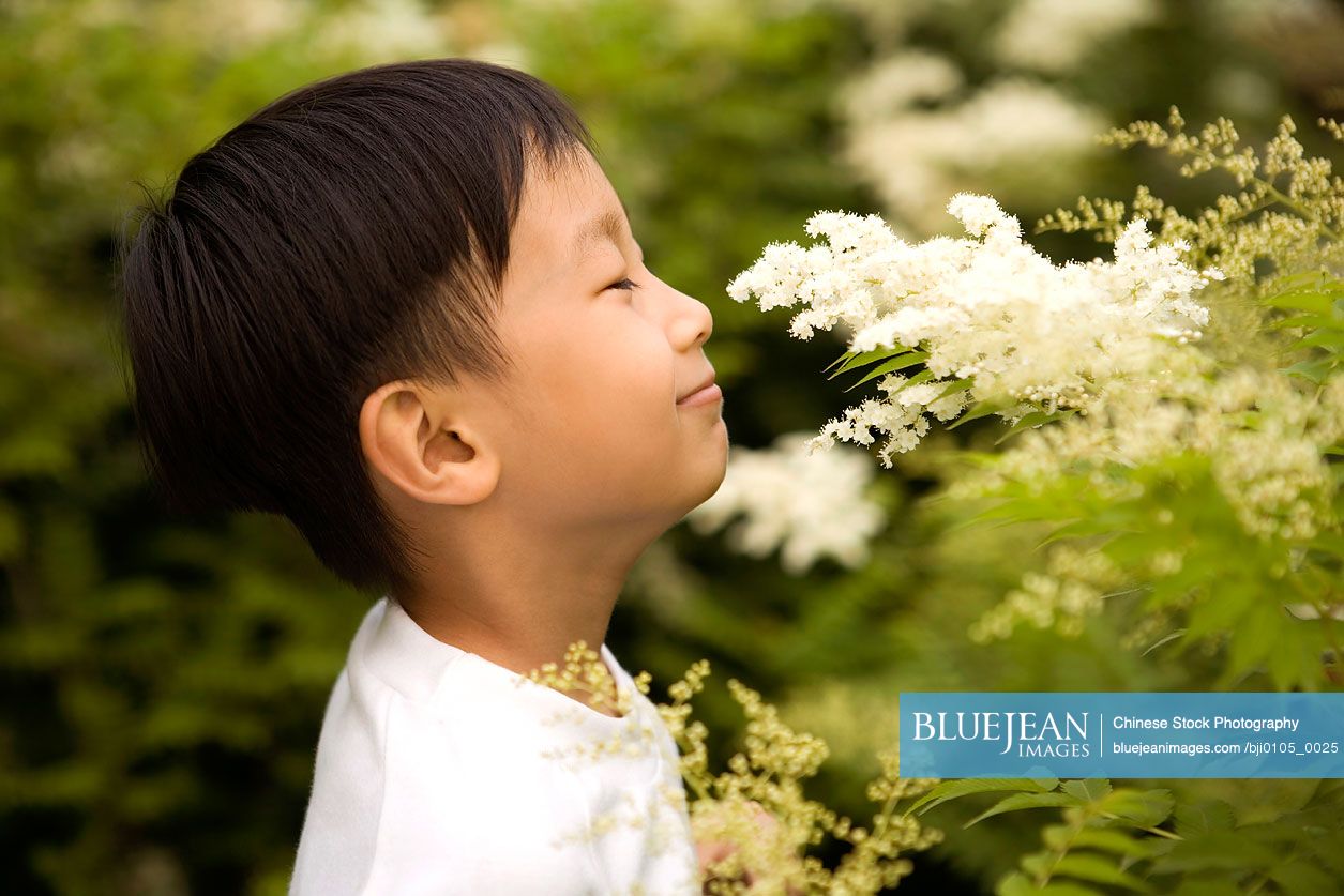 Smelling Young Chinese Boy Smelling Flowers In A Park-High-res stock photo for  download