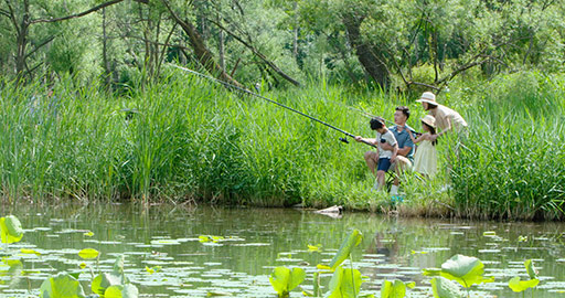 Happy young Chinese family fishing outdoors,4K