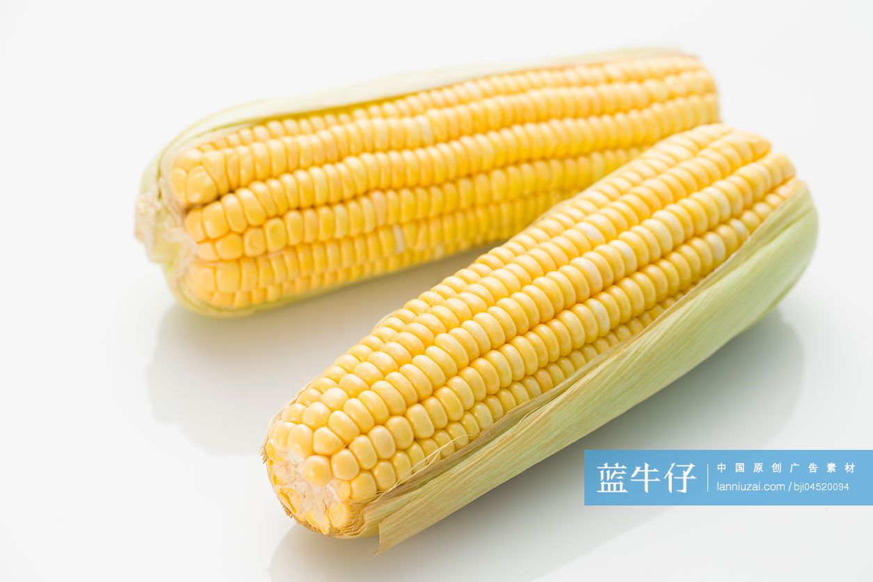 玉米