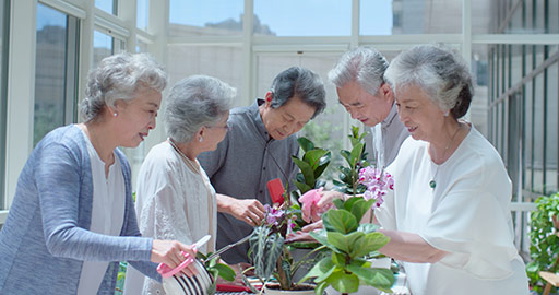 Happy senior Chinese friends planting flowers in nursing home,4K