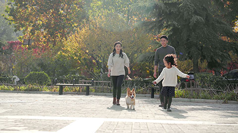 Happy young Chinese family and pet dog in park,4K