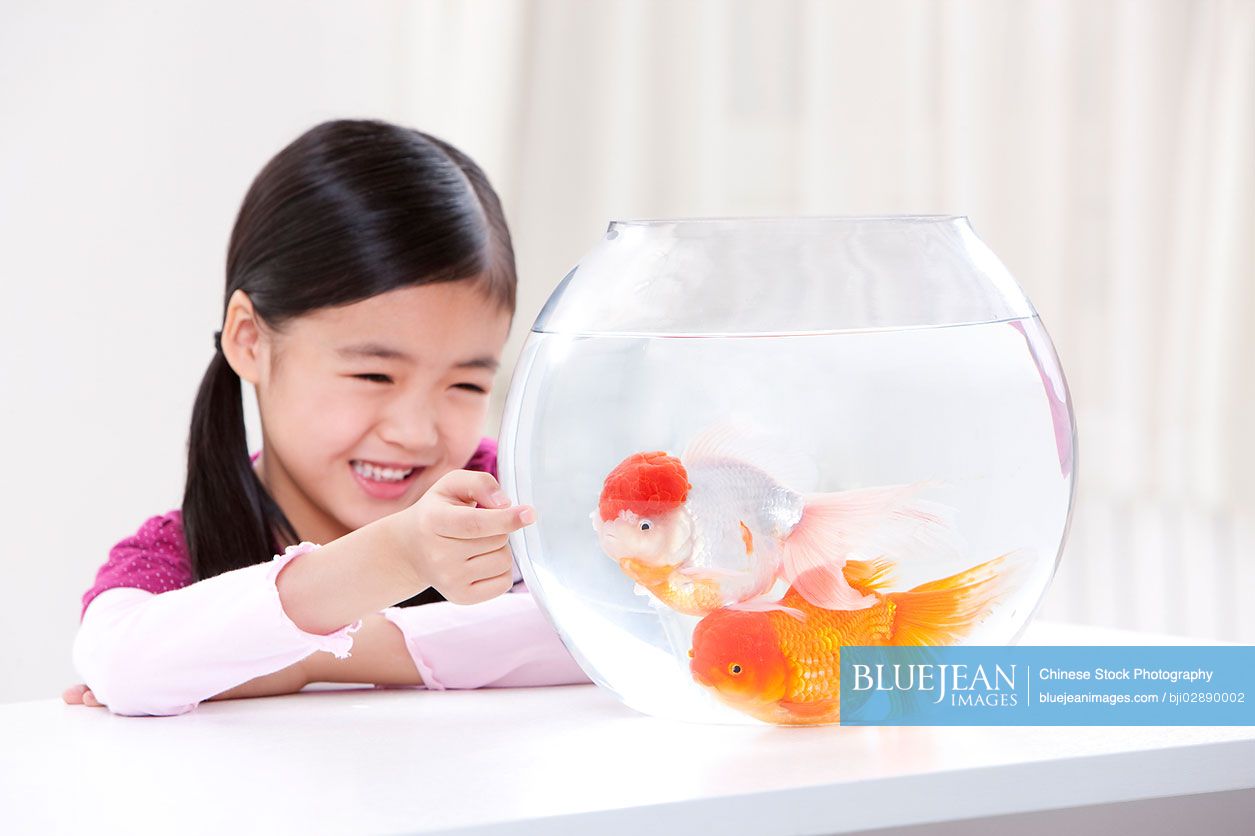 Little Chinese girl having fun with goldfishes