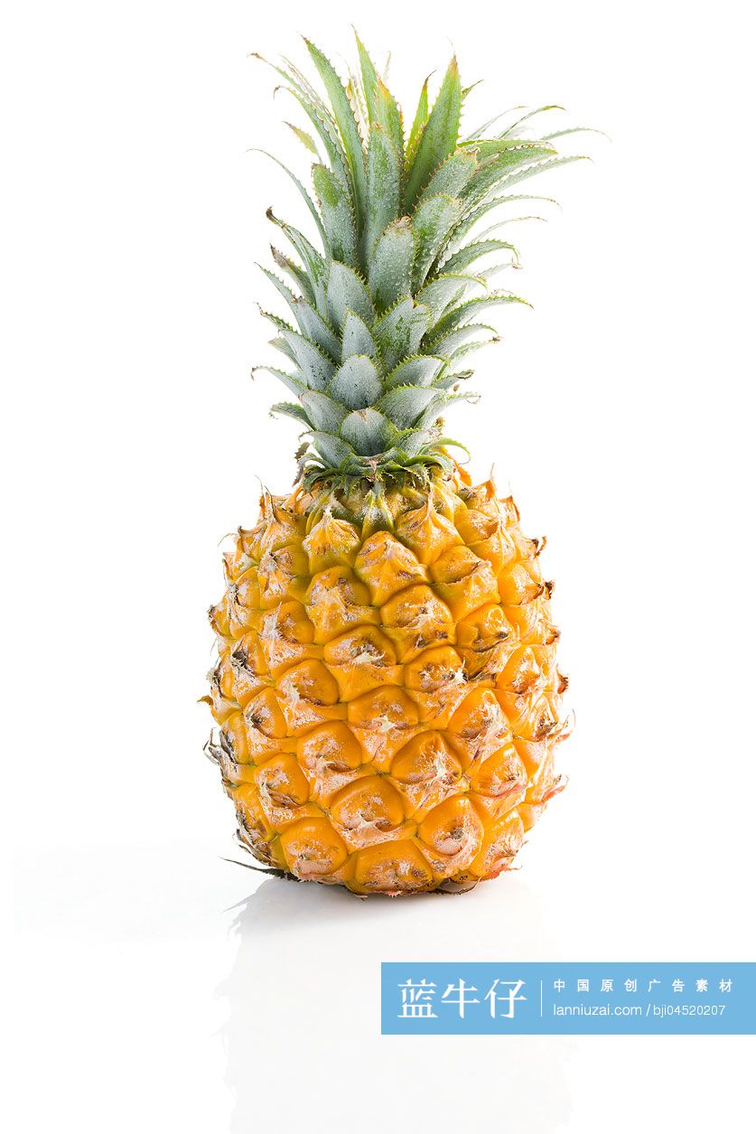 菠萝