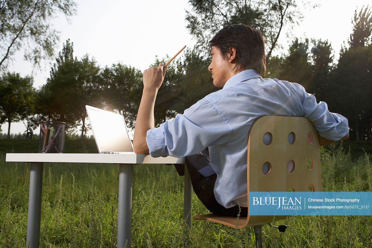 Chinese businessman with laptop in field-High-res stock photo for download