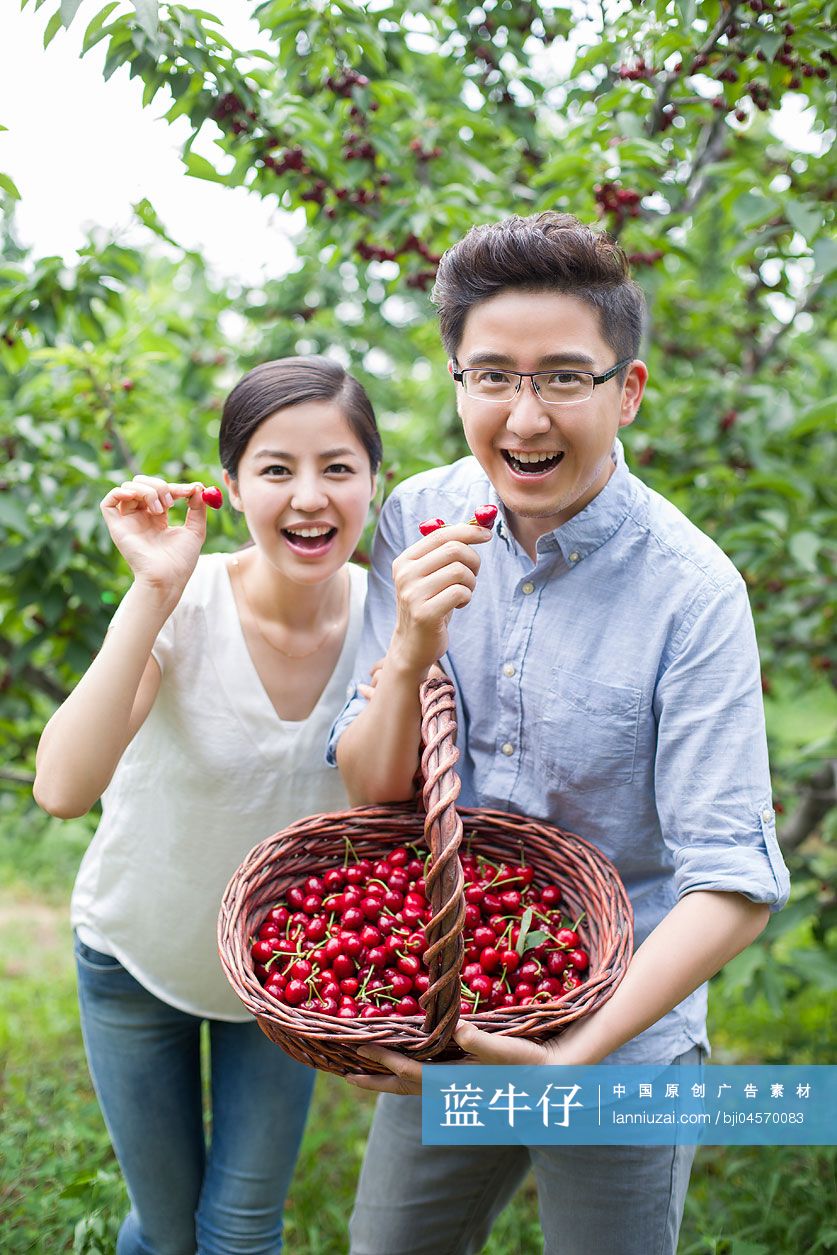 年轻夫妻在果园采摘樱桃