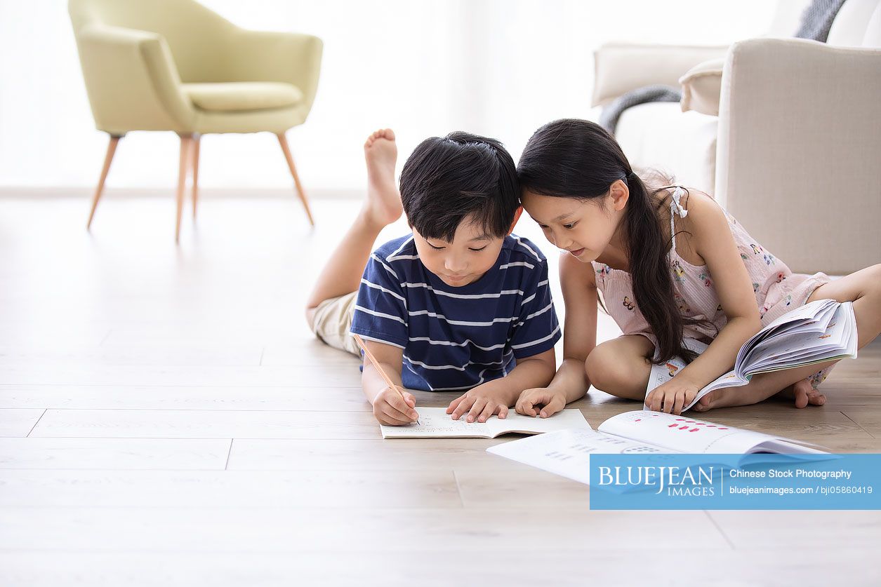 Happy Chinese sibling studying in living roomHighres stock photo for