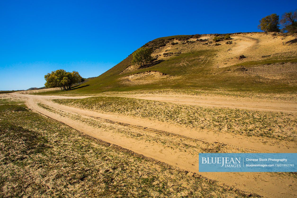 Grassland scenery