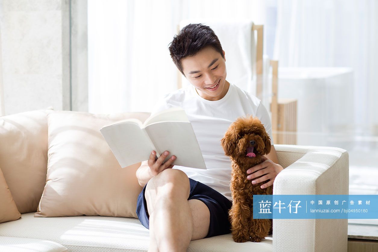 年轻男子在沙发上看书-蓝牛仔影像-中国原创广告影像素材