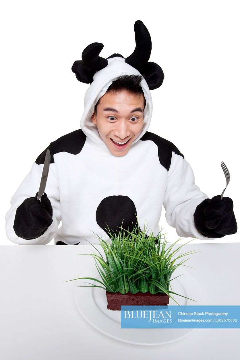 Young Chinese man wearing a cow costume ready to eat