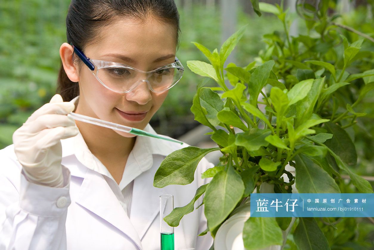 农艺师在现代农庄做科学研究