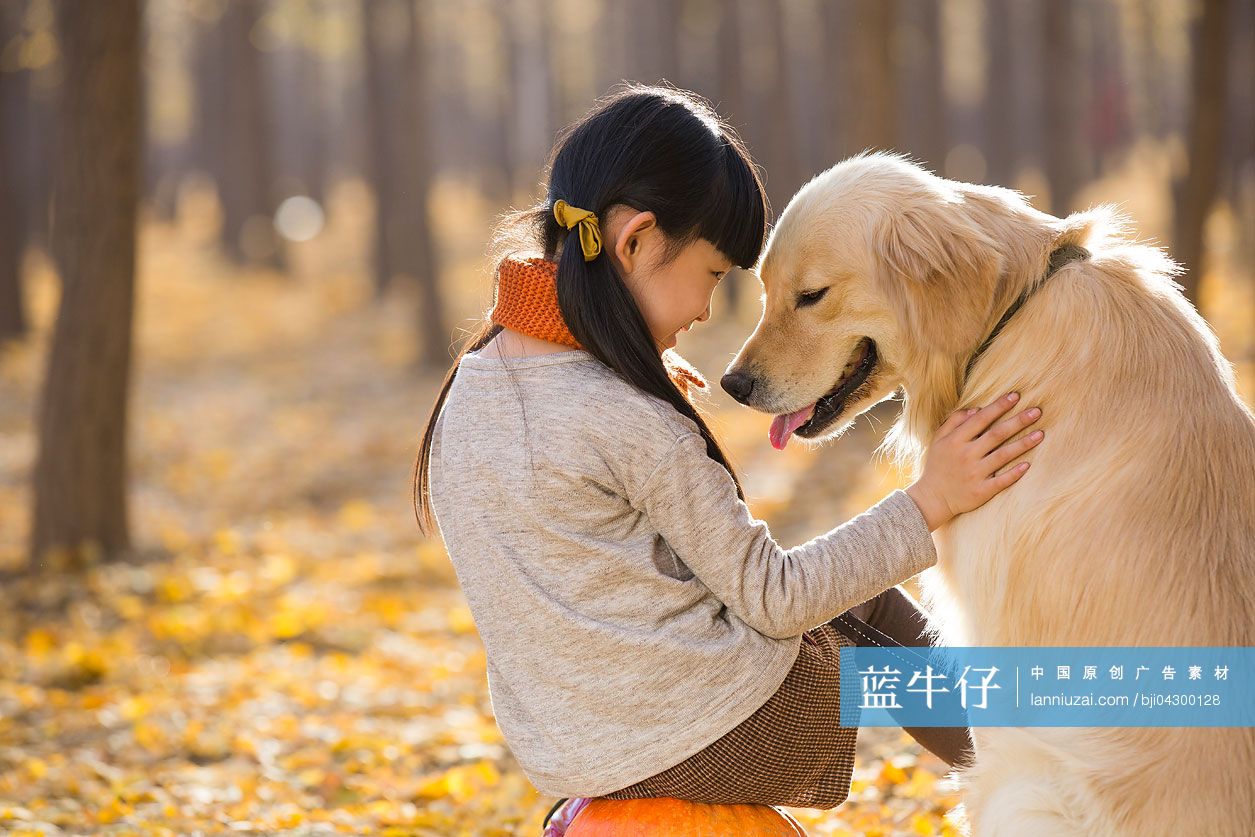 小女孩和宠物狗在秋日树林里奔跑-蓝牛仔影像-中国原创广告影像素材
