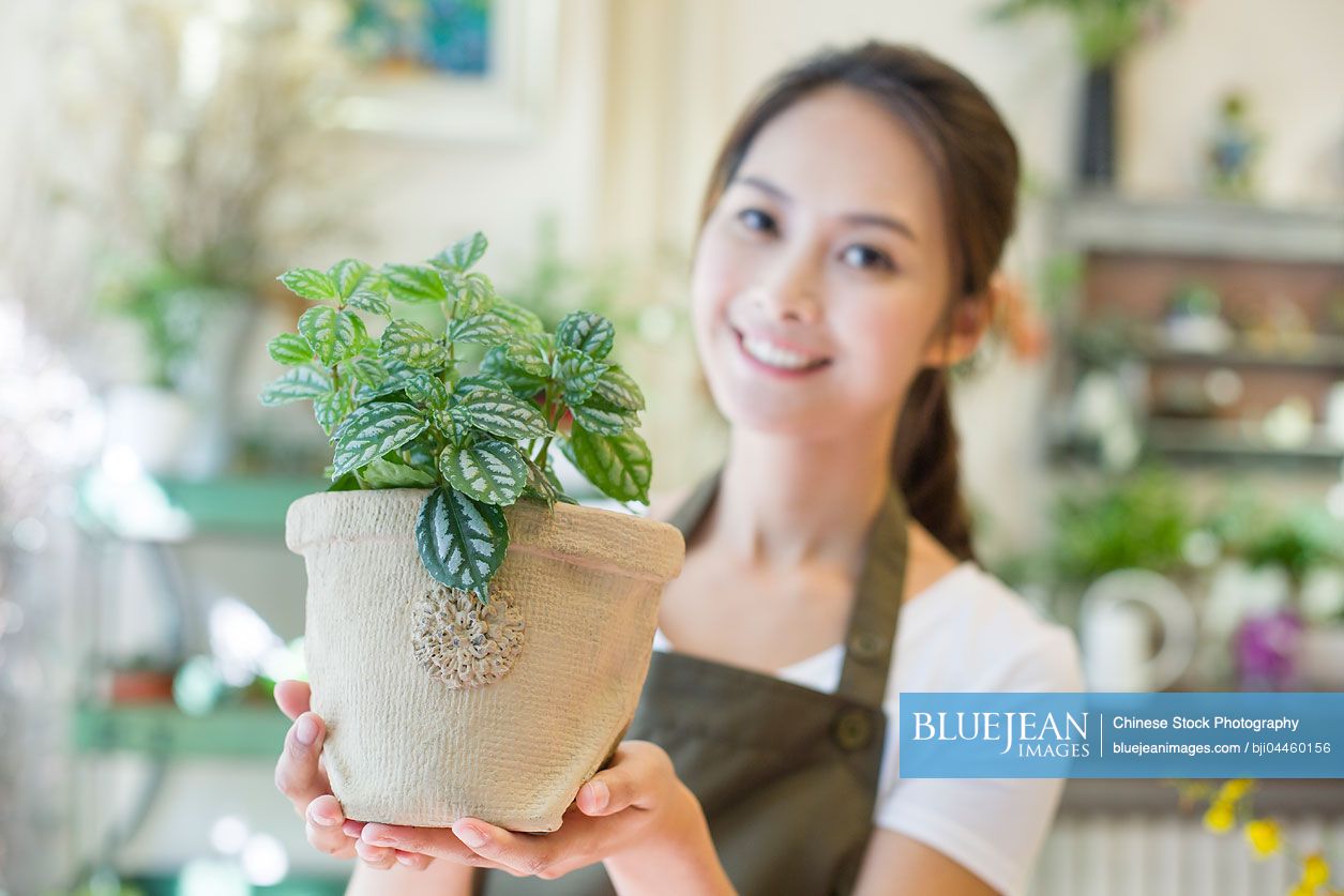 Female Chinese florist working in shop