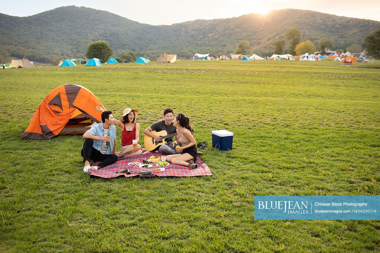 Happy young Chinese friends having a picnic outdoors
