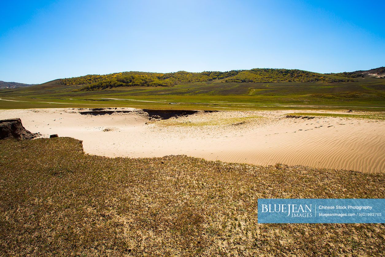 Grassland scenery