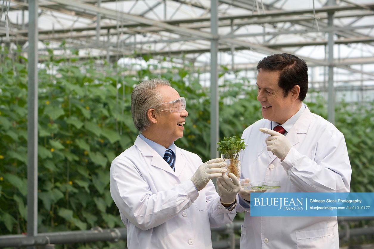 Scientists doing research in modern farm
