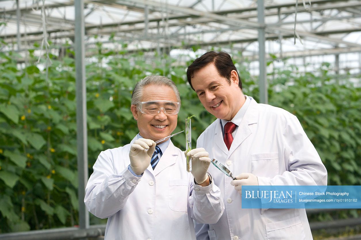 Scientists doing research in modern farm