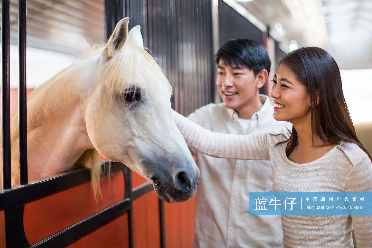 快乐的年轻情侣和马