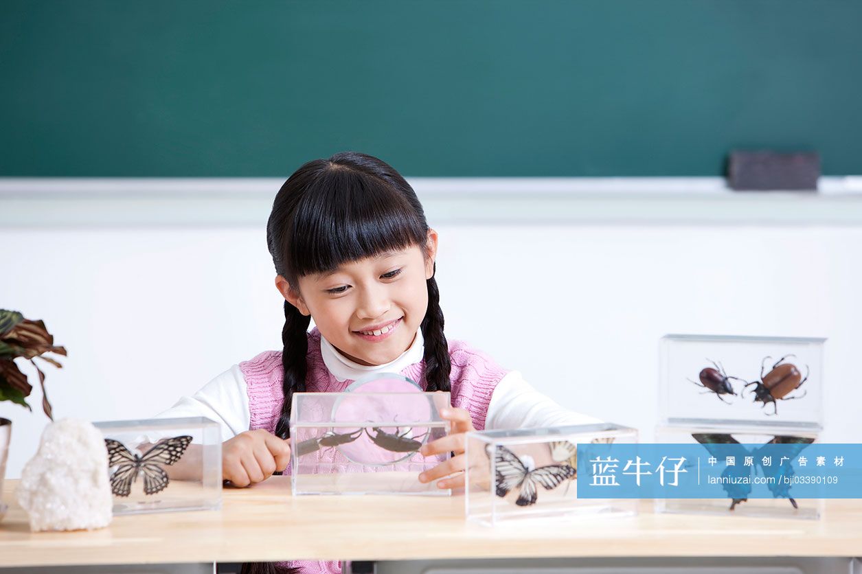 小女生观察昆虫标本