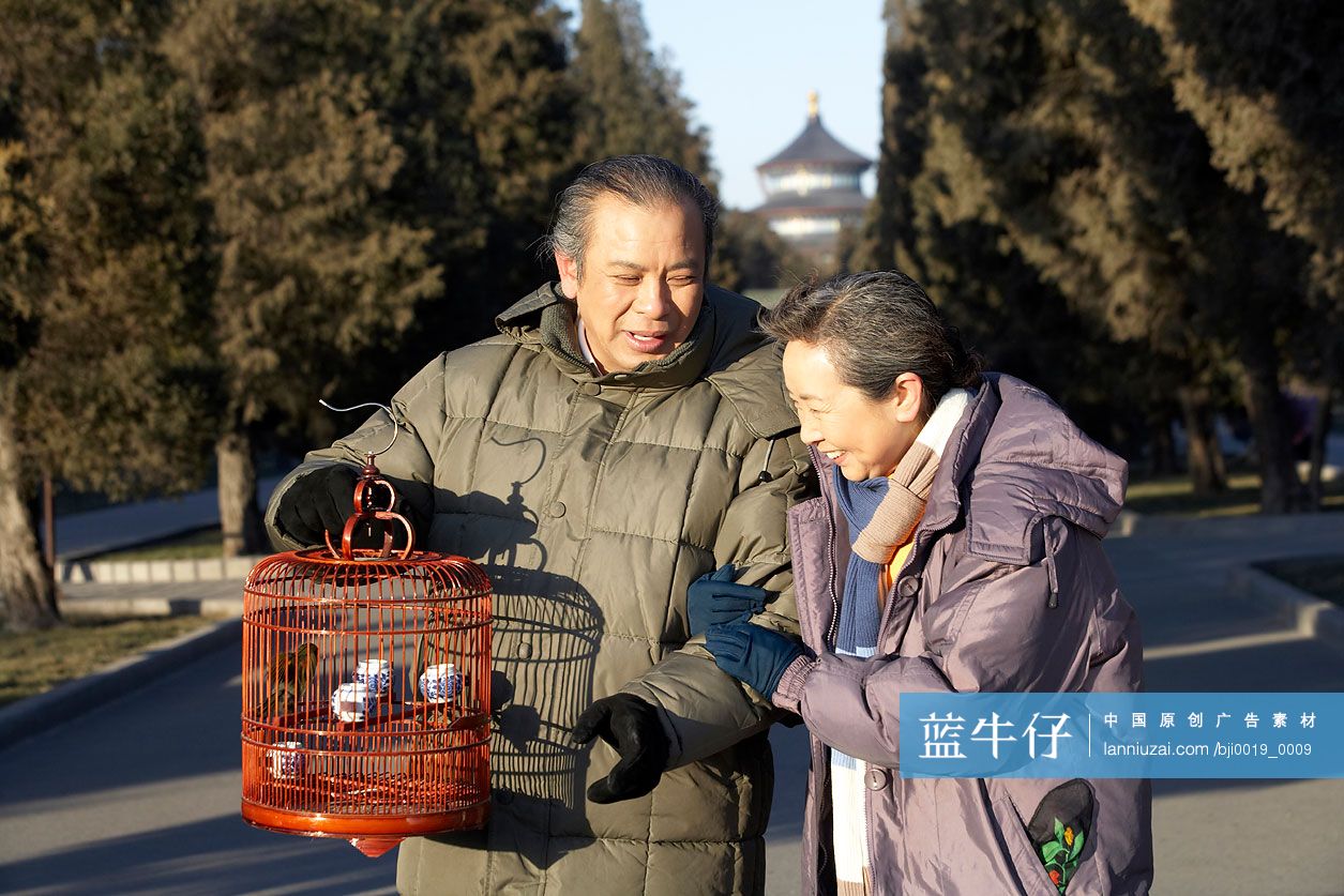 老年夫妇在公园遛鸟