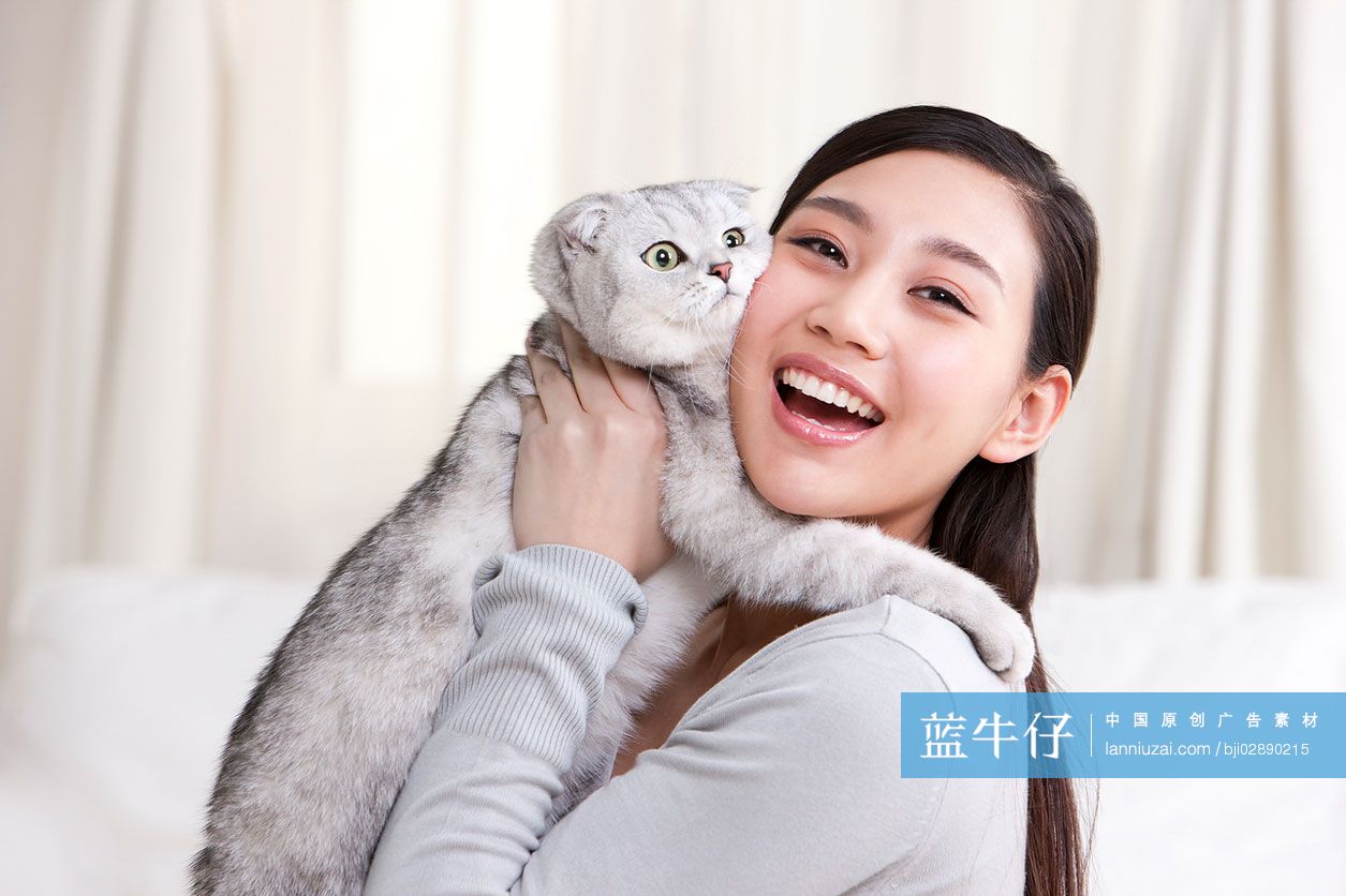 青年女子和苏格兰折耳猫
