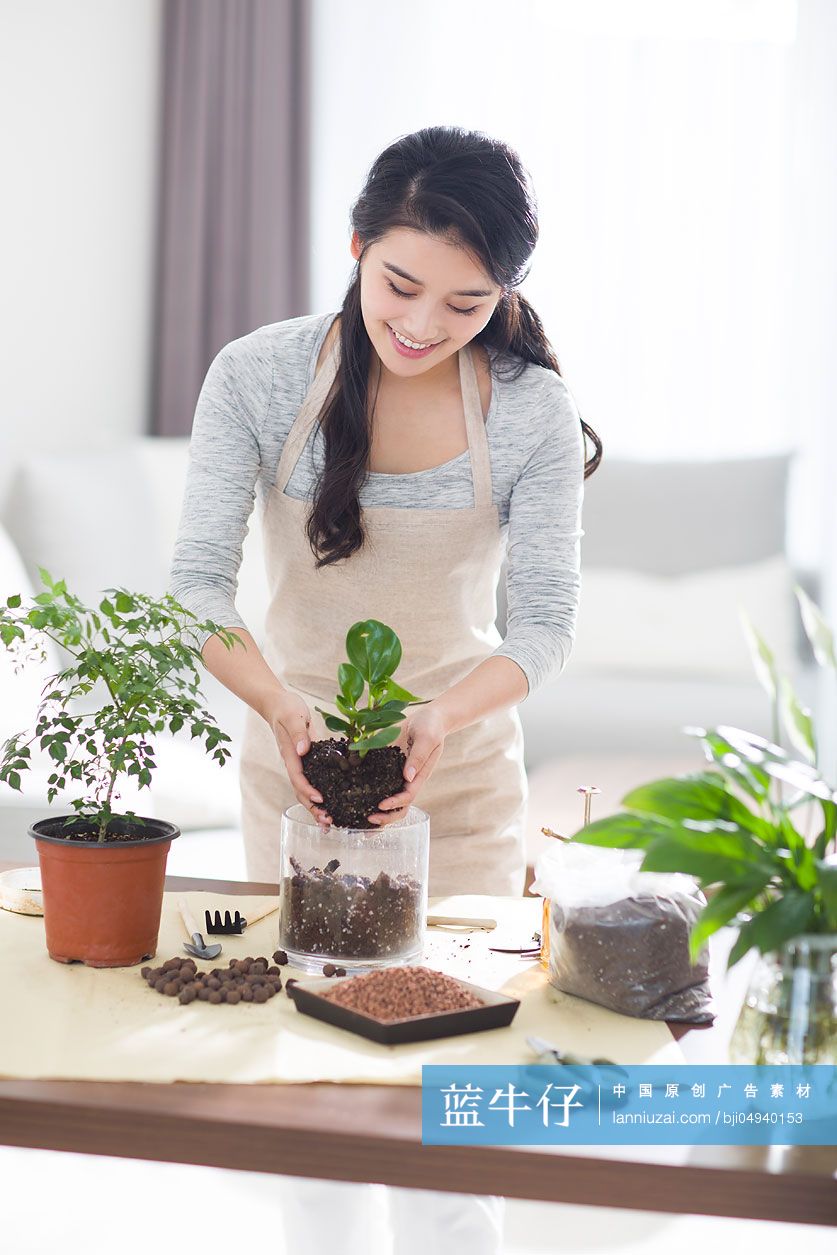 年轻女子在家种植盆栽-蓝牛仔影像-中国原创广告影像素材