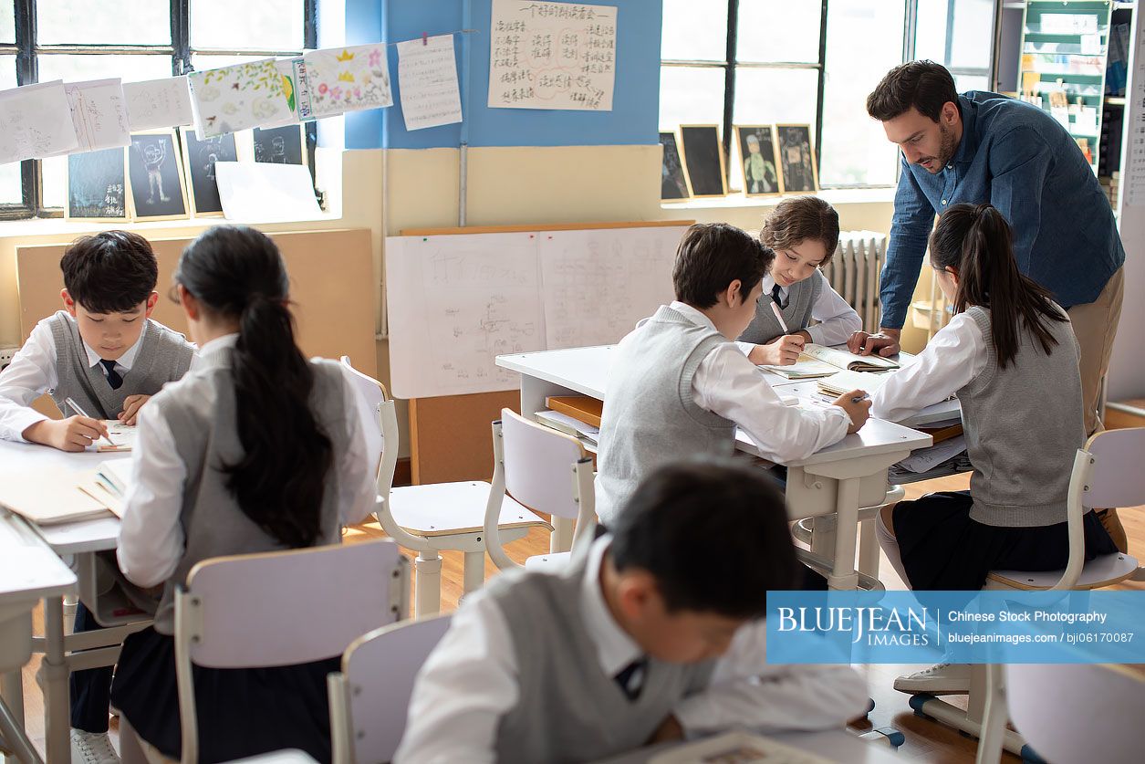 Young teacher teaching a class