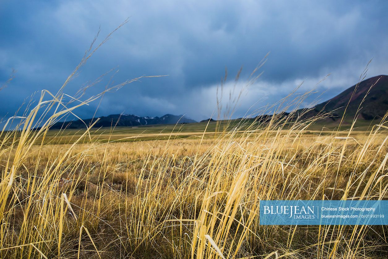 Wilderness area