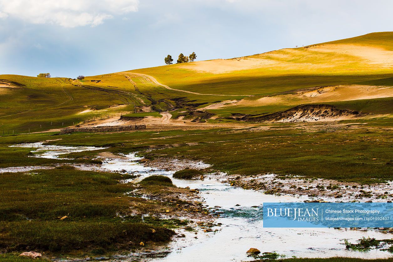 Grassland scenery