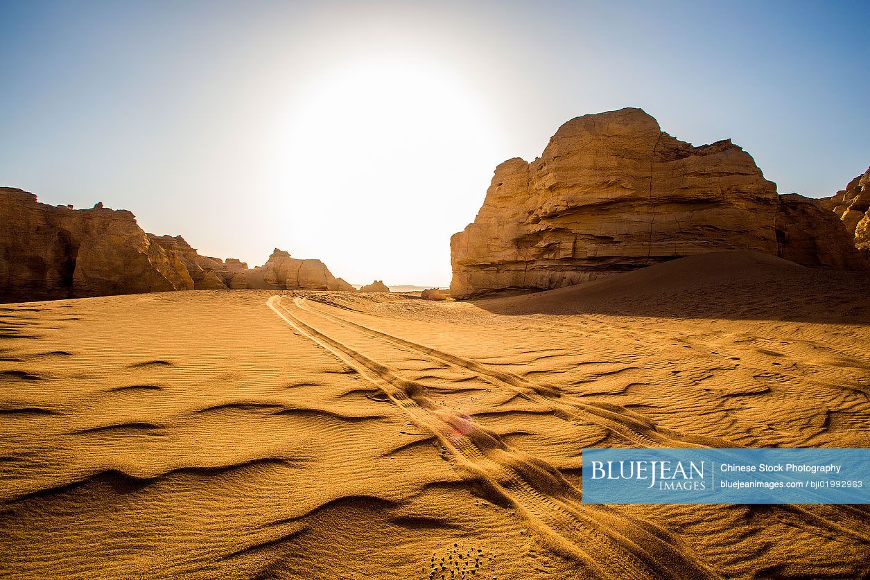 Dry desert