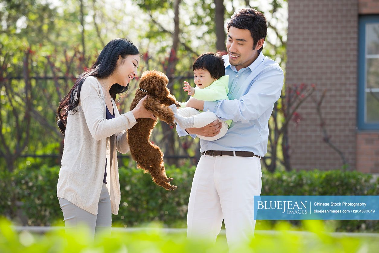 Happy young Chinese family with their pet dog