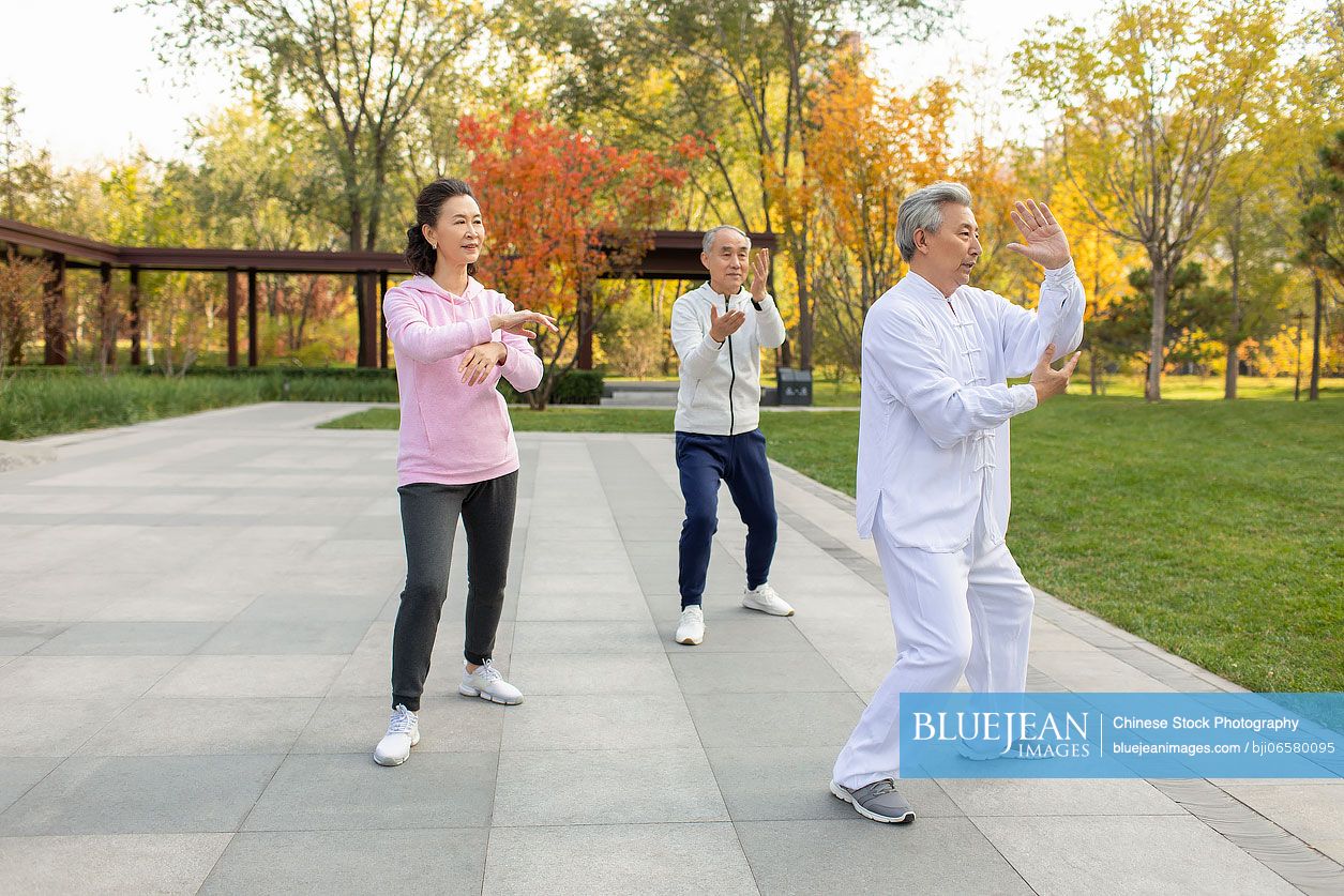 Cheerful senior Chinese adult practicing Tai Chi in the park