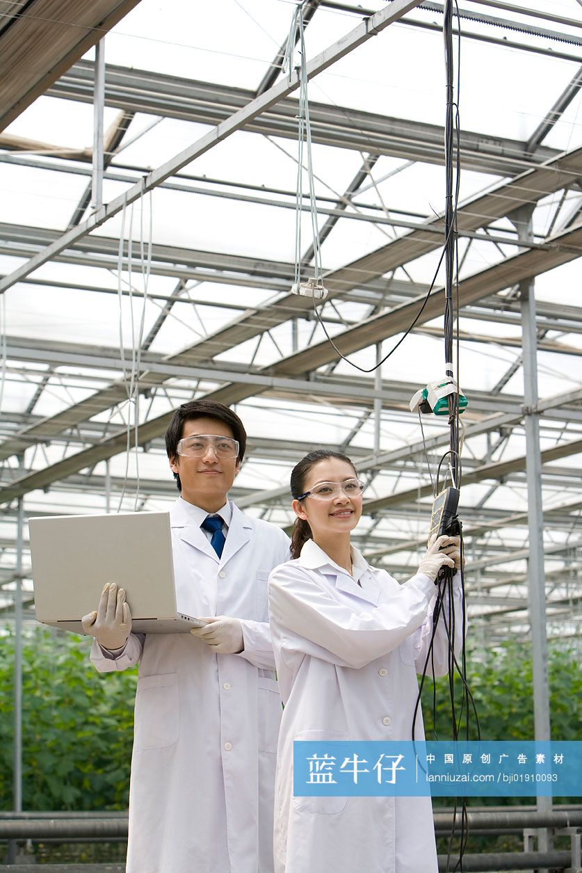 农艺师在现代农庄采摘