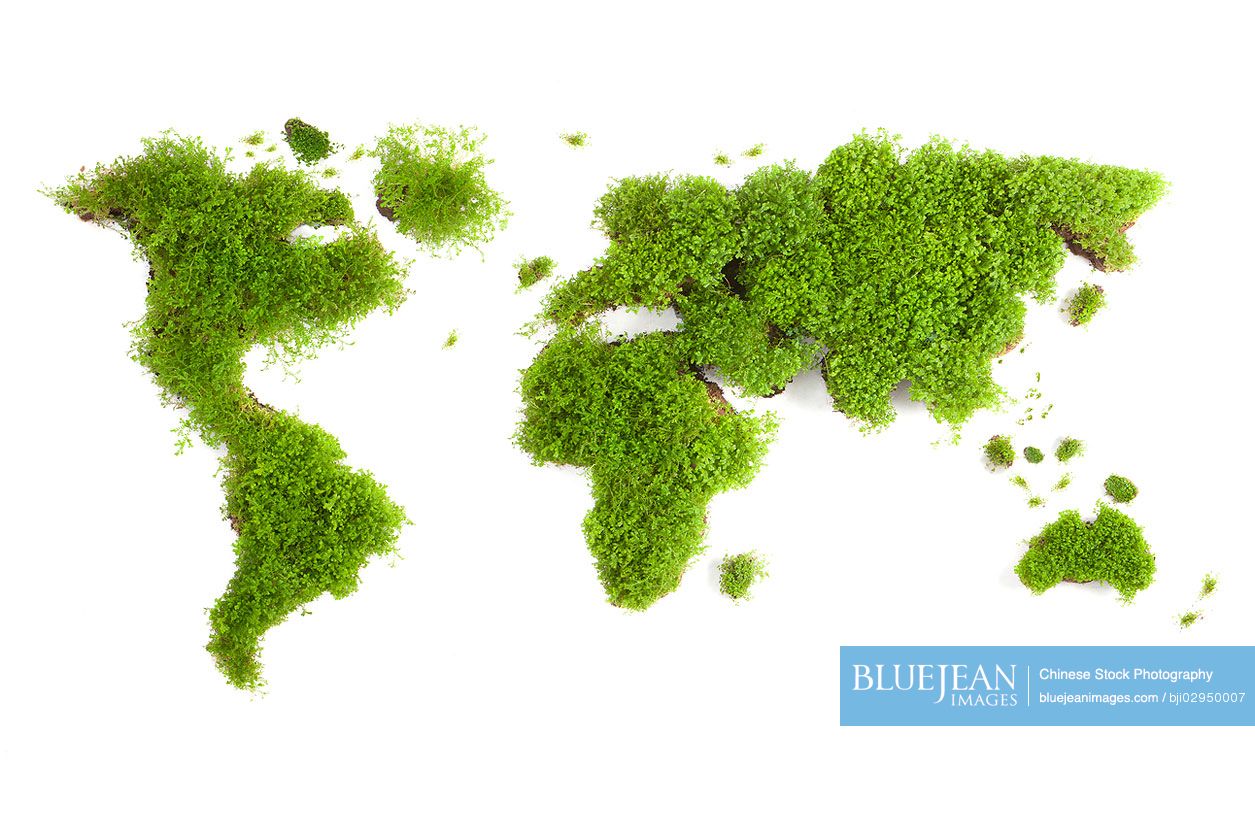 The global map made of grass